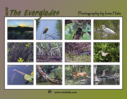 2024 The Everglades Calendar Back Cover