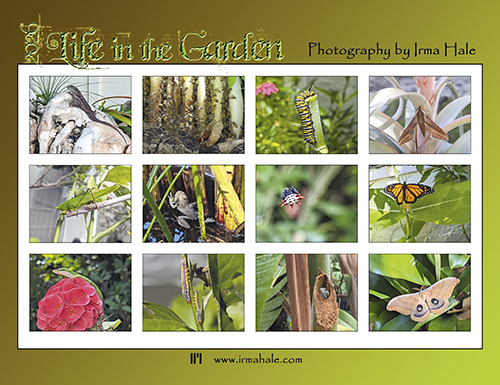 2026 Life in the Garden Calendar Back Cover