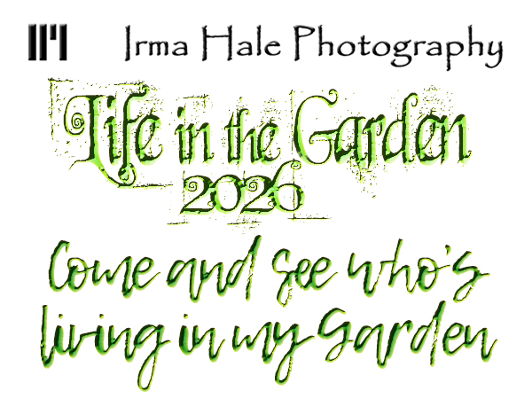 2026 Life in the Garden Calendar Title