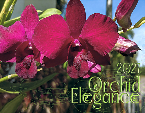 2027 Orchid Elegance Calendar Front Cover