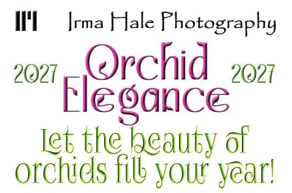 2027 Orchid Elegance Calendar Title
